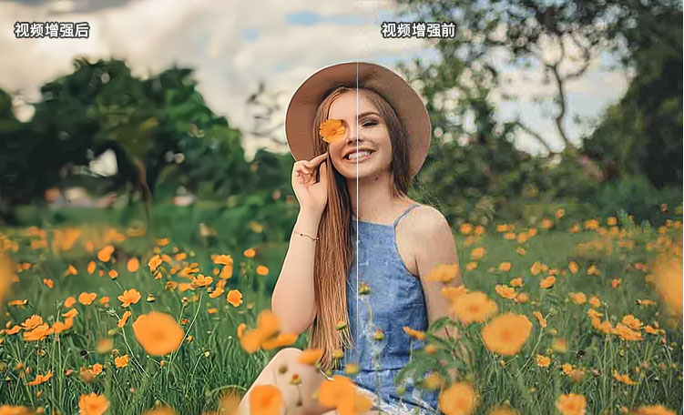 視頻增強(qiáng)與復(fù)原